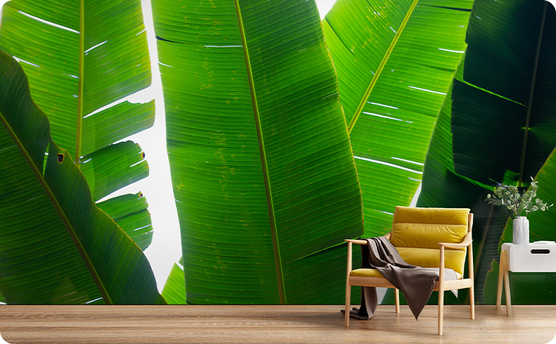 Leaves Banana Wallpaper Mural