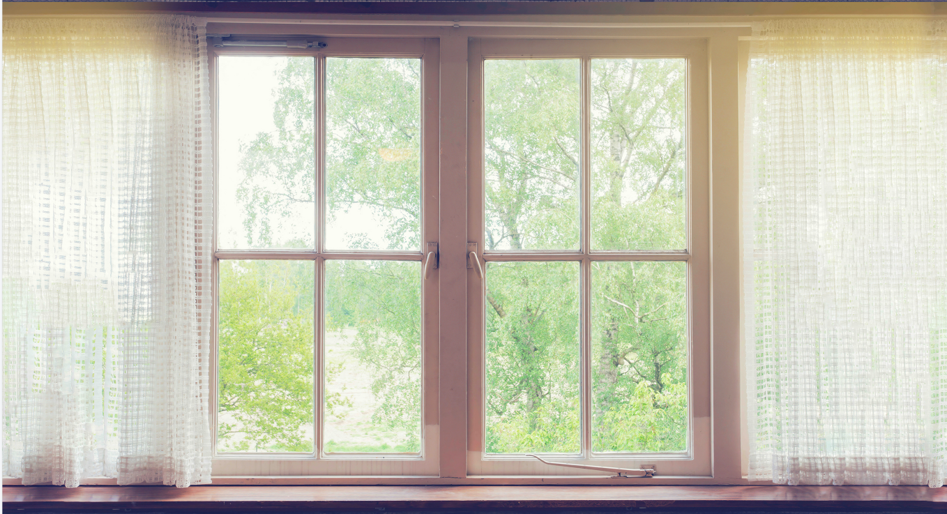 Window View Waiting for Godot Wallpaper Mural