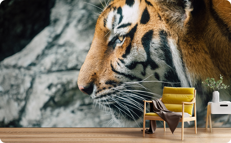 Animal Peel and Stick Wall Murals