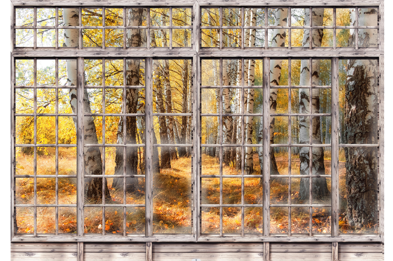 Window View Cool Autumn Wallpaper Mural