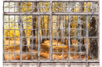 Window View Cool Autumn Wallpaper Mural