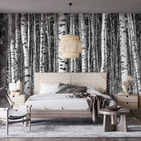 Black and white birch tree wall mural behind a modern minimalist bed