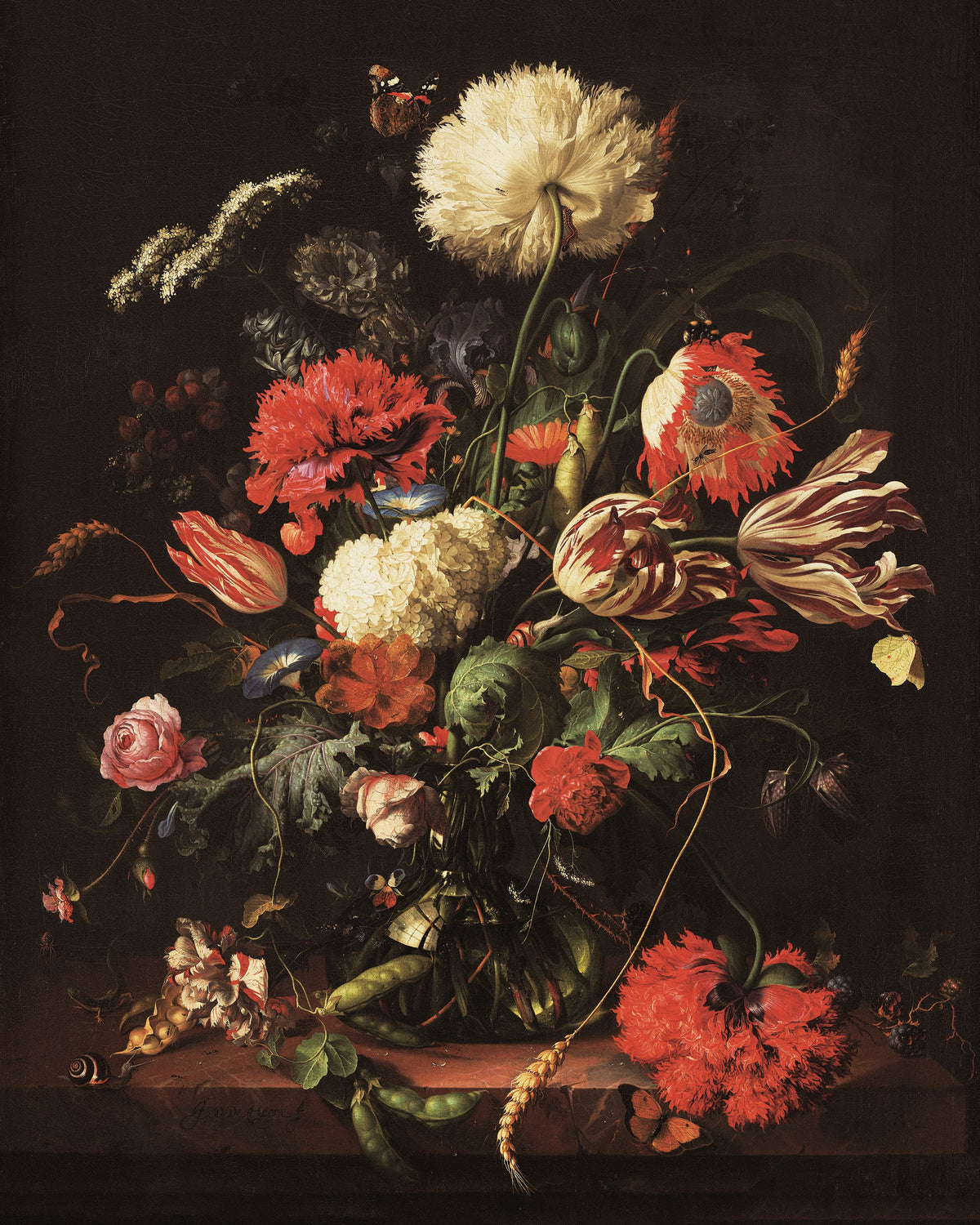 Dutch Masters inspired dark floral still life mural with red poppies and striped tulips
