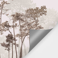 Forest Foggy Forest Wallpaper Mural