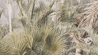 Forest Glance Wallpaper Mural